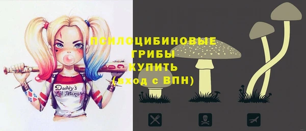 герыч Арсеньев