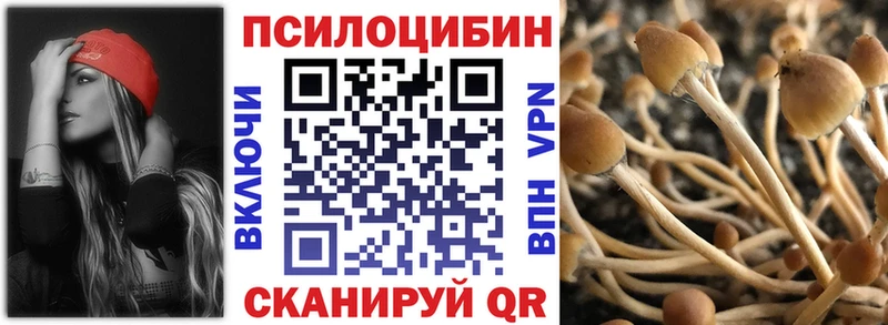 Галлюциногенные грибы Psilocybine cubensis  даркнет клад  Багратионовск 